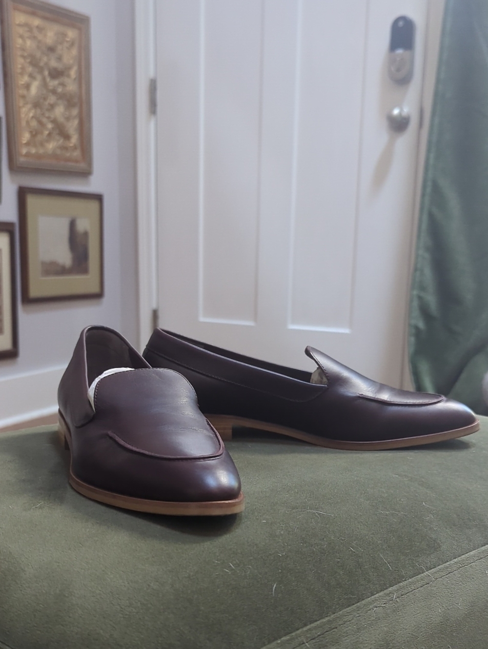 Everlane Modern Loafer in Burgundy NWOT